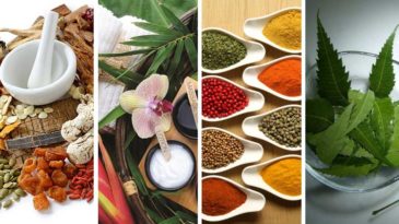 চুল এবং ত্বকের যত্নে ভেষজ পদ্ধতি