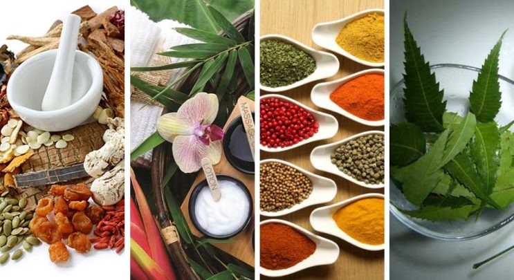 চুল এবং ত্বকের যত্নে ভেষজ পদ্ধতি