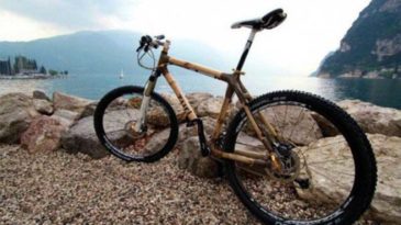 বাঁশের তৈরি বাইসাইকেল