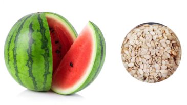 তরমুজের-বিচি