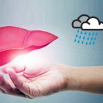 5 monsoon foods that clean liver naturally