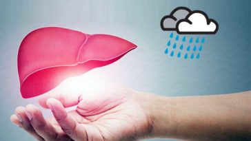 5 monsoon foods that clean liver naturally