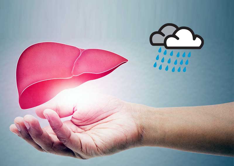 5 monsoon foods that clean liver naturally
