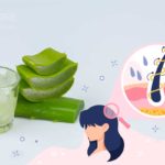 aloe vera in hair care