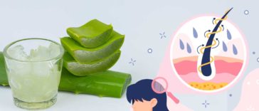 aloe vera in hair care