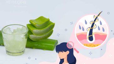 aloe vera in hair care