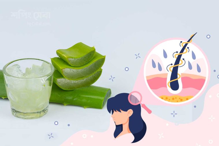 aloe vera in hair care