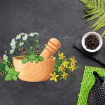 ঔষধি গাছ নাম এবং উপকারিতা