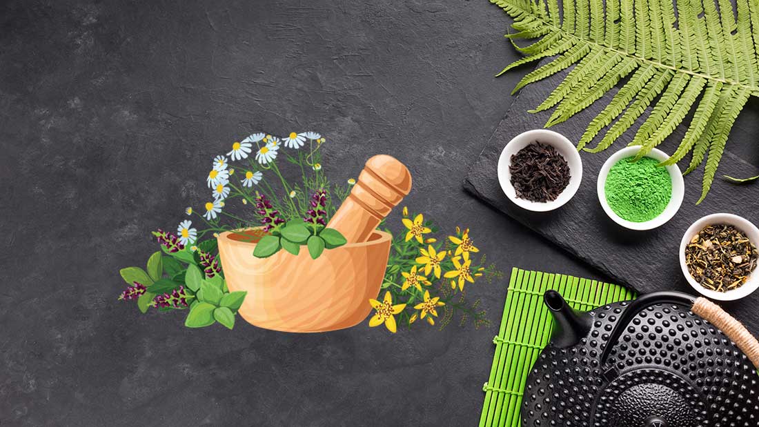 ঔষধি গাছ নাম এবং উপকারিতা