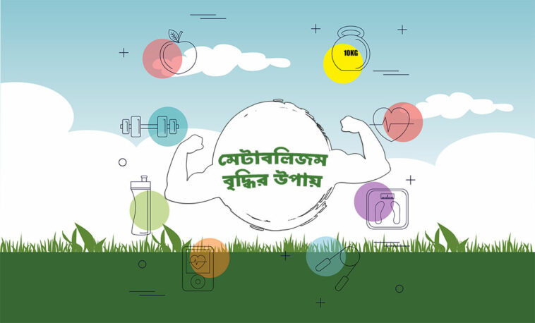 মেটাবলিজম বৃদ্ধির উপায়