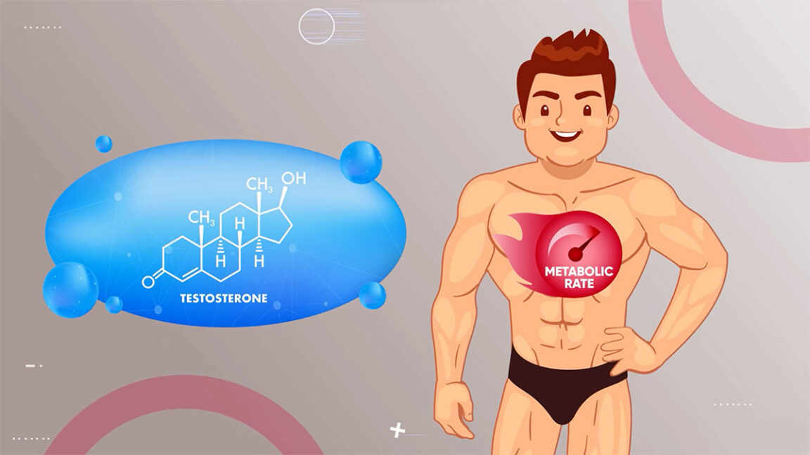 what is testosterone