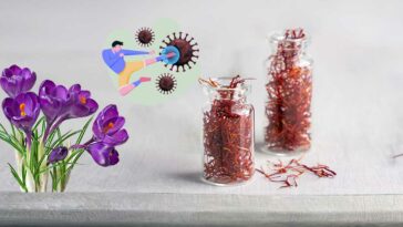 saffron-to-relieve-colds-coughs-and-boost-immunity