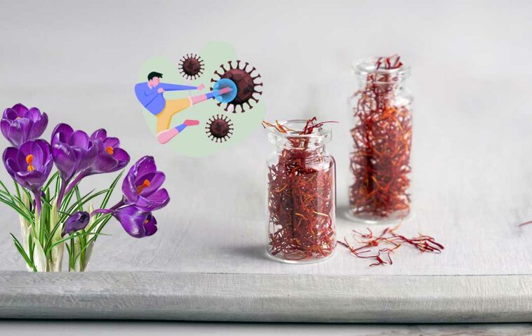 saffron-to-relieve-colds-coughs-and-boost-immunity