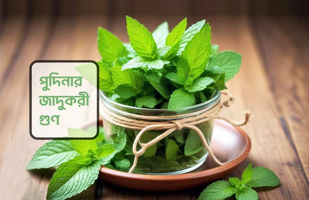magical benefits of mint leaves