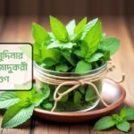magical benefits of mint leaves