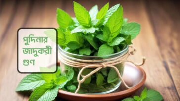 magical benefits of mint leaves
