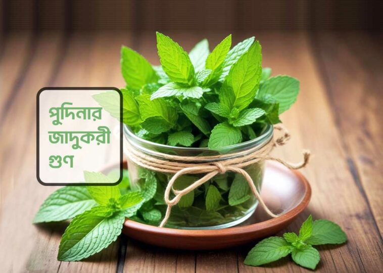 magical benefits of mint leaves